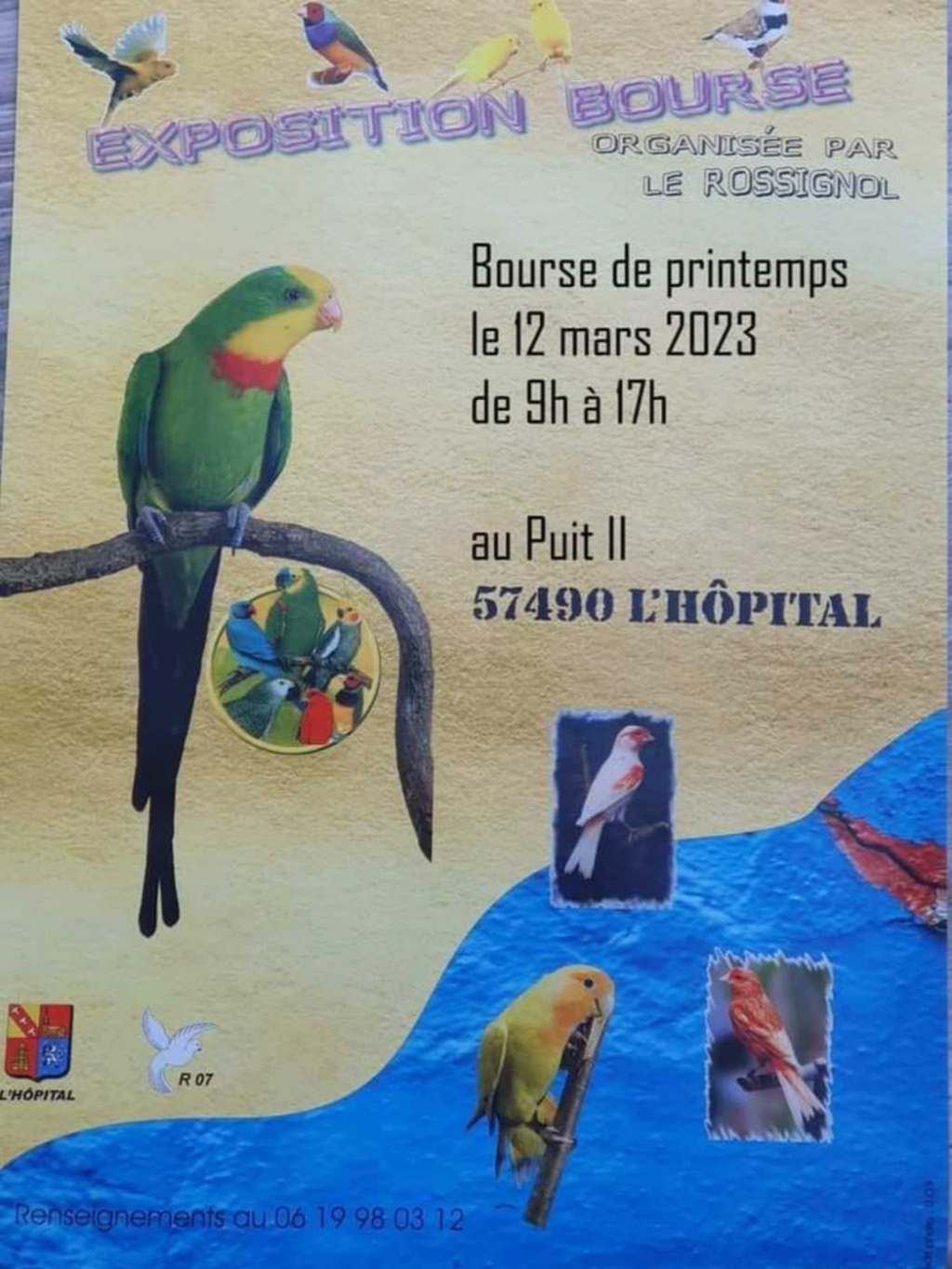 L'Hôpital (57) - (Bourse aux oiseaux) 20230312