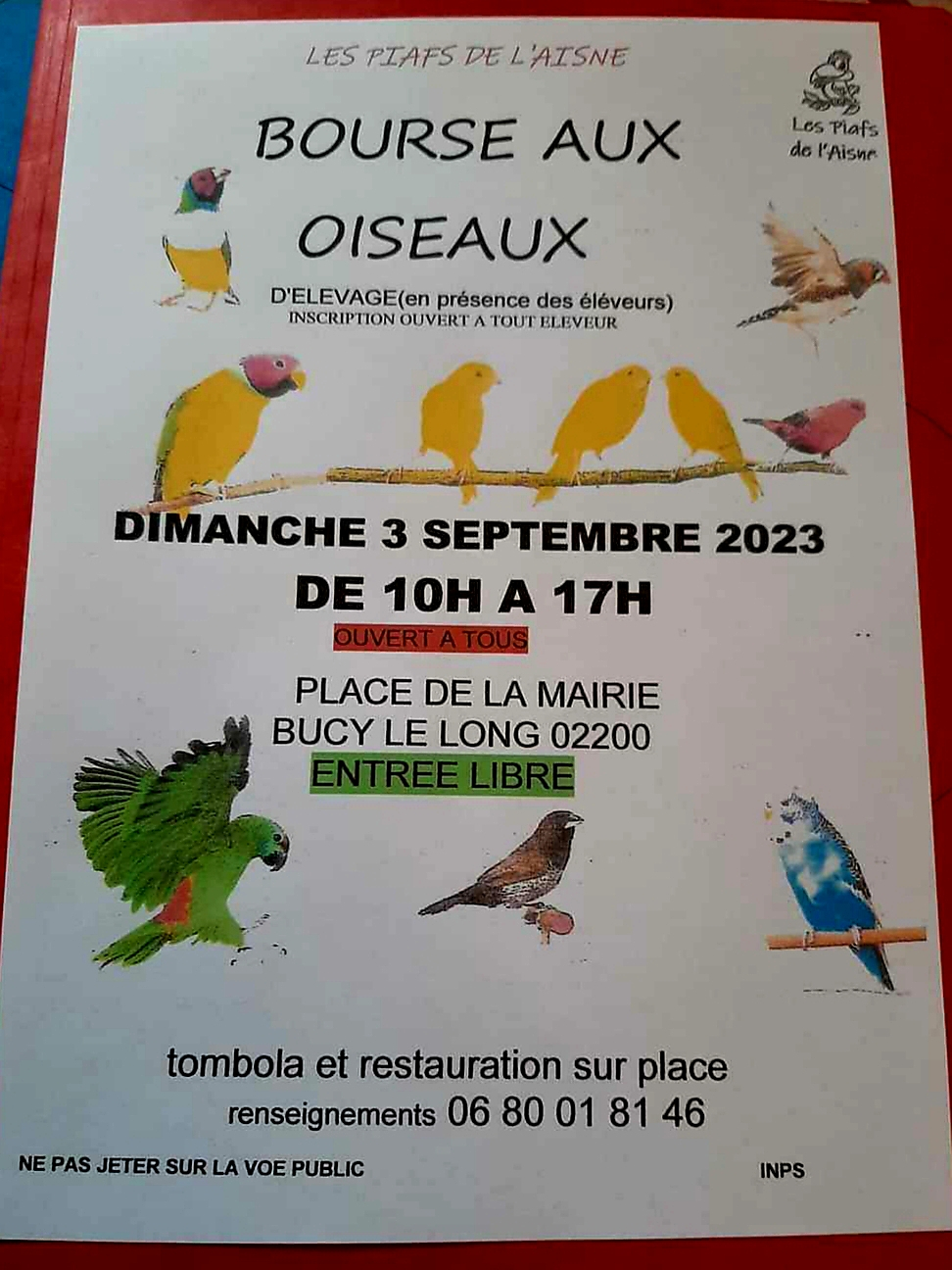 Bucy-le-Long (02) - (Bourse aux oiseaux) 20230614
