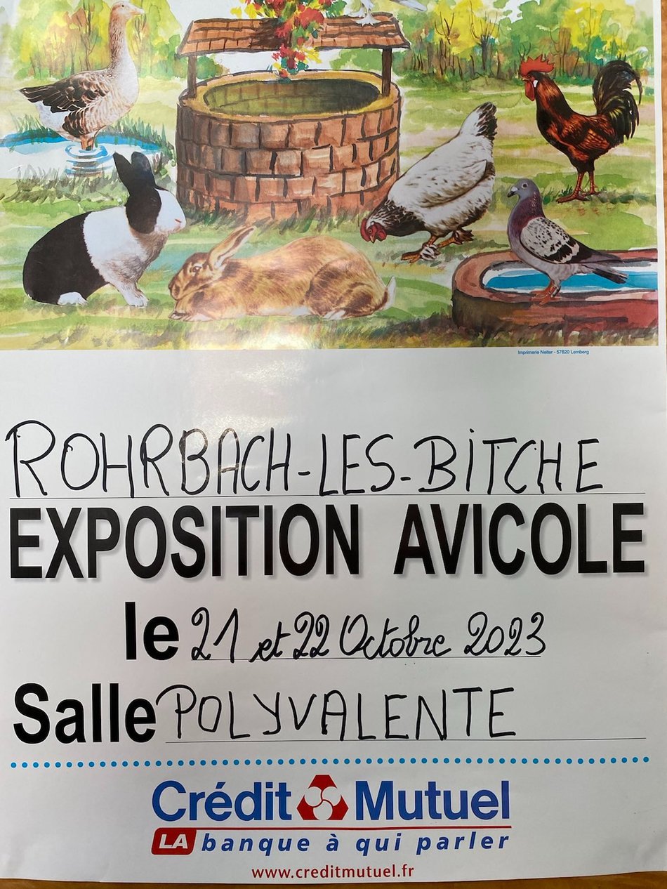 Rohrbach-lès-Bitche (57) - (Expo avicole) 2a34d610