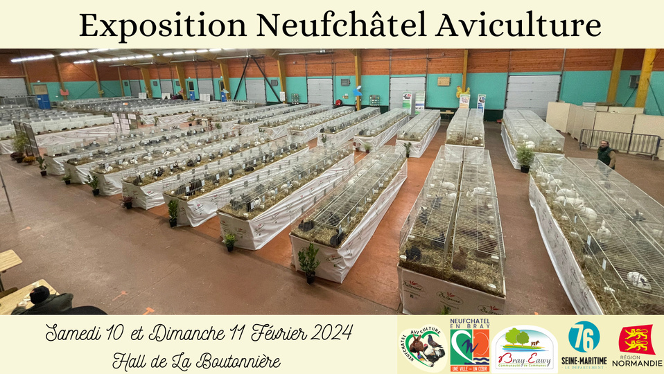 Neufchâtel-en-Bray (76) - (Exposition avicole) 35405710