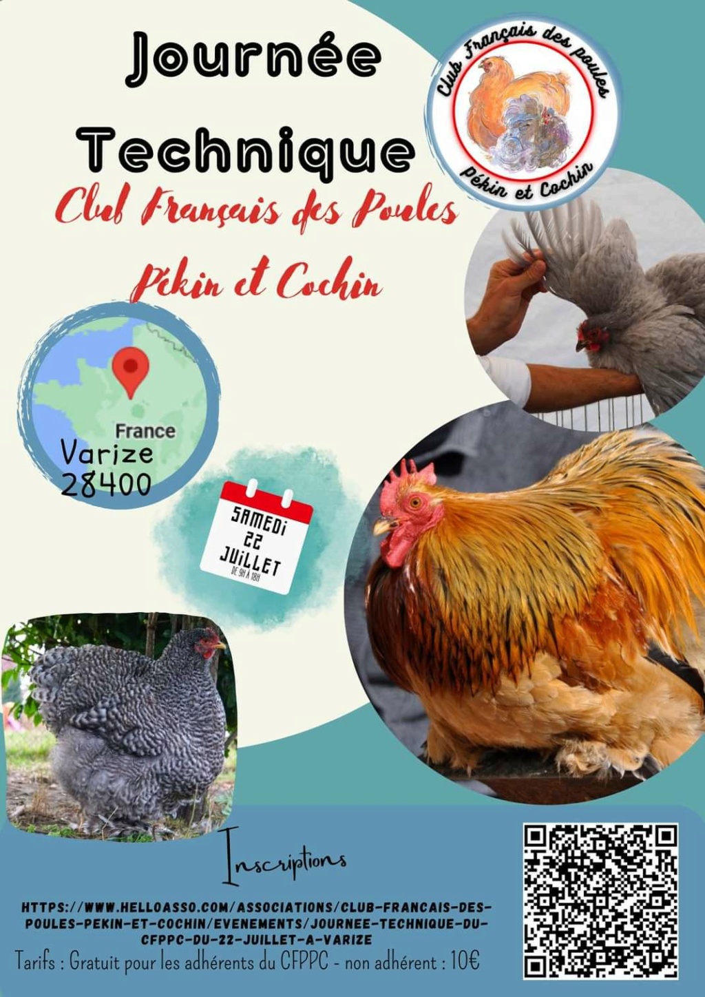 Varize (28) - (Journée technique avicole du Club Français des Poules Pékin et Cochin) Img_1108