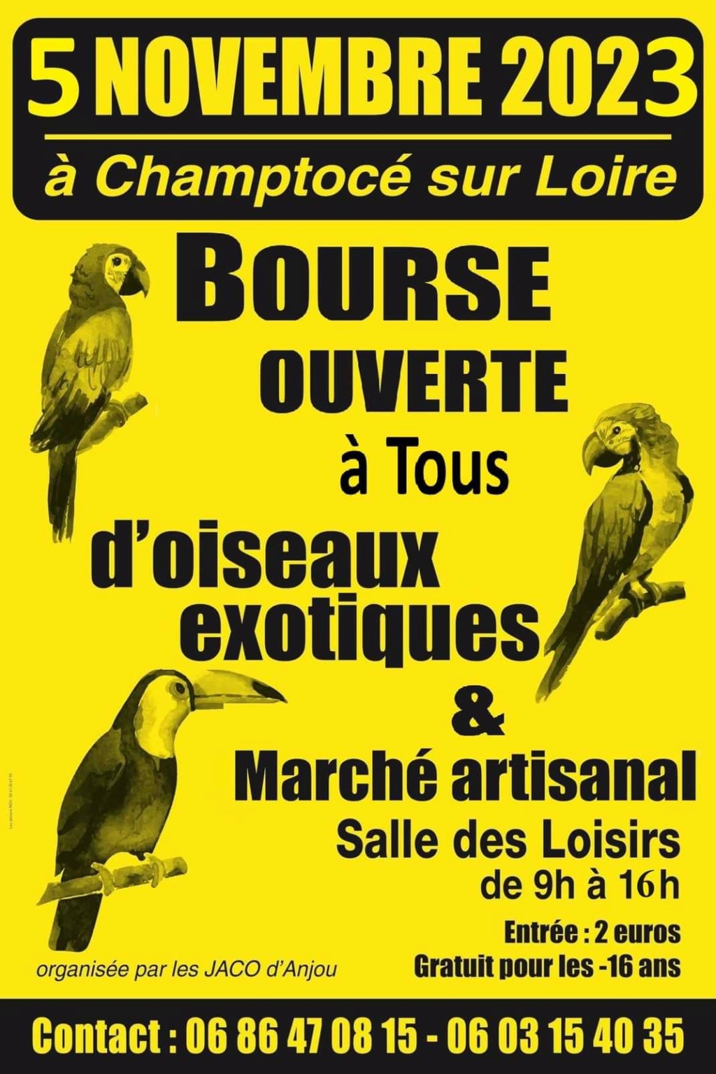 Champtocé-sur-Loire (49) - (Bourse aux oiseaux) Img_1177