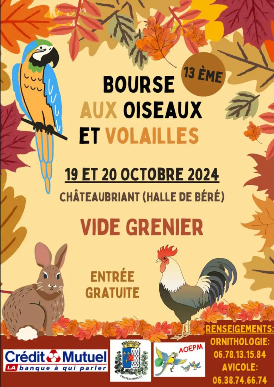 Châteaubriant (44) - (Bourse aux oiseaux et aux volailles) Img_1197