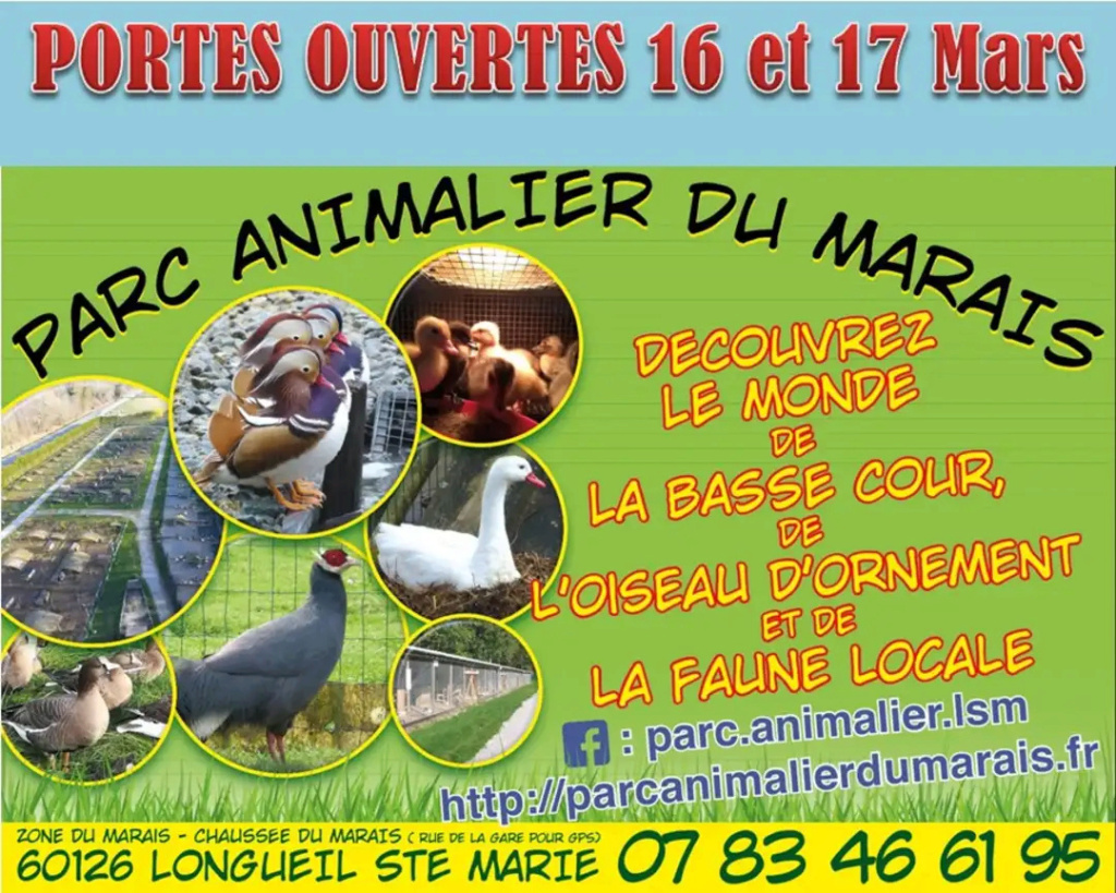 Longueil-Sainte-Marie (60) - (Portes ouvertes du Parc Animalier du Marais) Img_1220