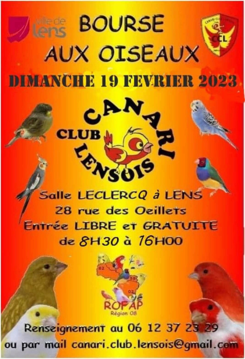 Lens (62) - (Bourse aux oiseaux) Img_1_36