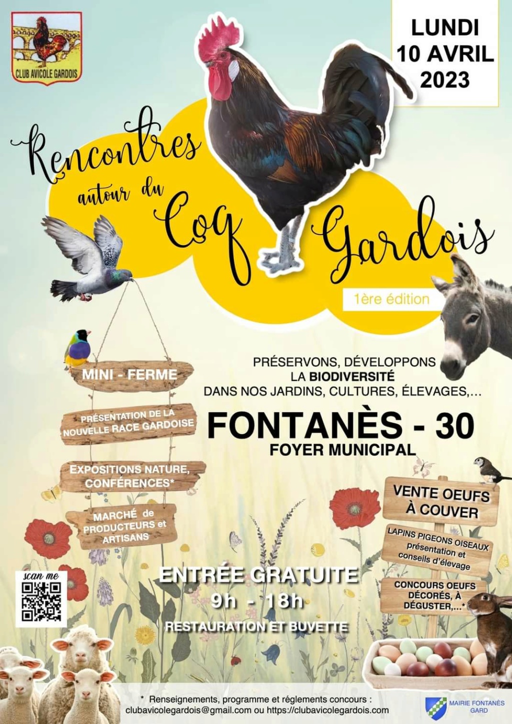 Fontanès (30) - (Rencontres autour du Coq Gardois) Img_1_72