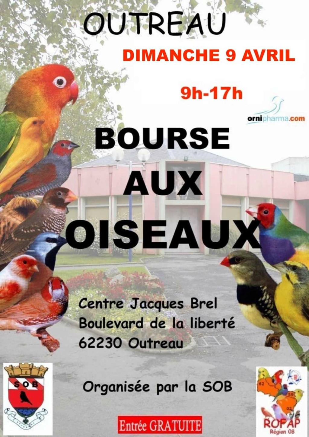 Outreau (62) - (Bourse aux oiseaux) Img_1_78