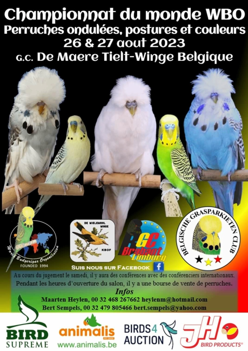 Tielt-Winge (Belgique) - (Championnat du monde des perruches ondulées) Img_1_83