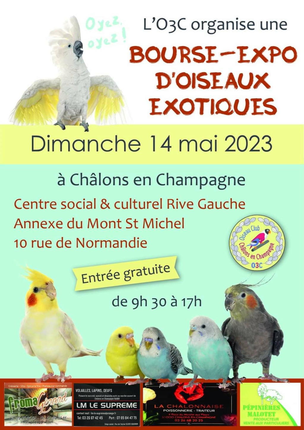 Châlons-en-Champagne (51) - (Bourse aux oiseaux) Img_1_98