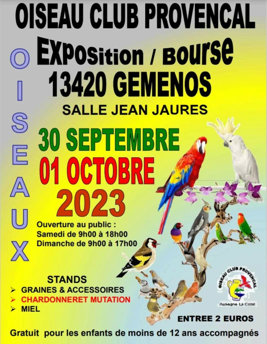 Gémenos (13) - (Exposition et bourse d'oiseaux) Img_2107