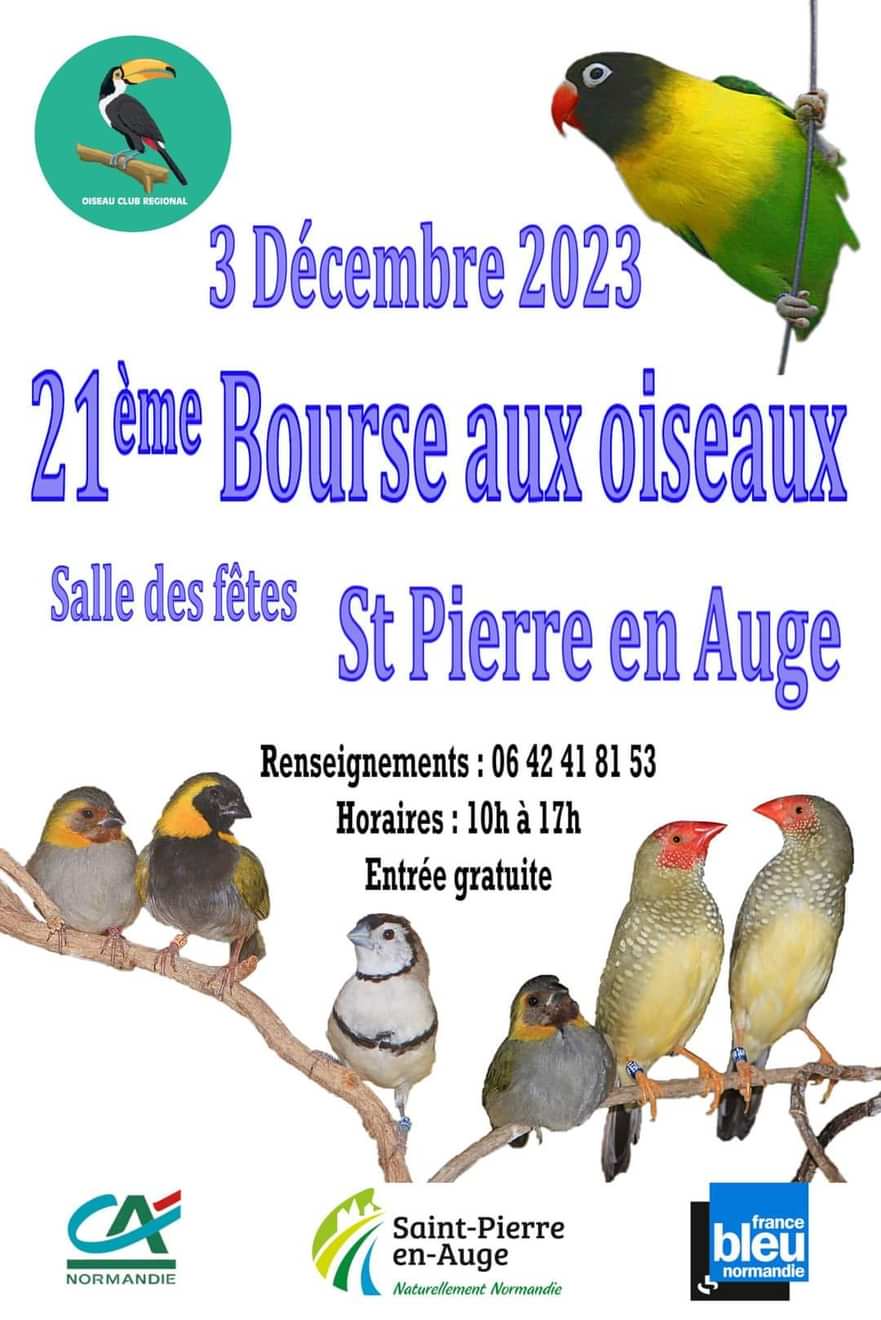 Saint-Pierre-en-Auge (14) - (Bourse aux oiseaux) Img_2119