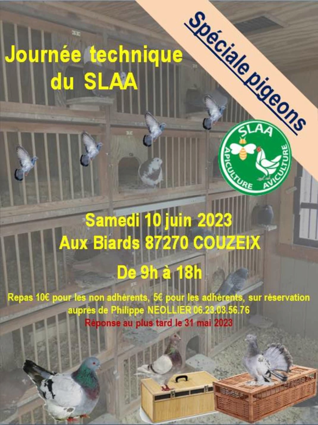 Couzeix (87) - (Journée technique avicole du SLAA (pigeons)) Img_2_66