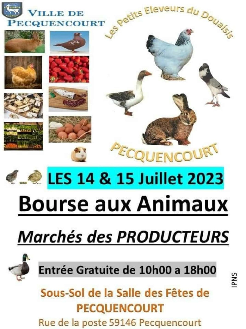 Pecquencourt (59) - (Bourse aux animaux de basse-cour) Img_2_79