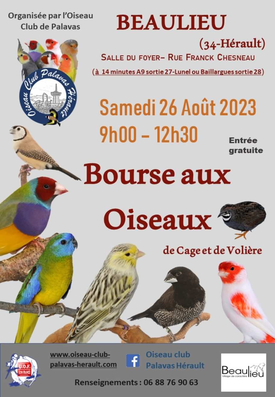 Beaulieu (34) - (Bourse aux oiseaux) Img_2_84