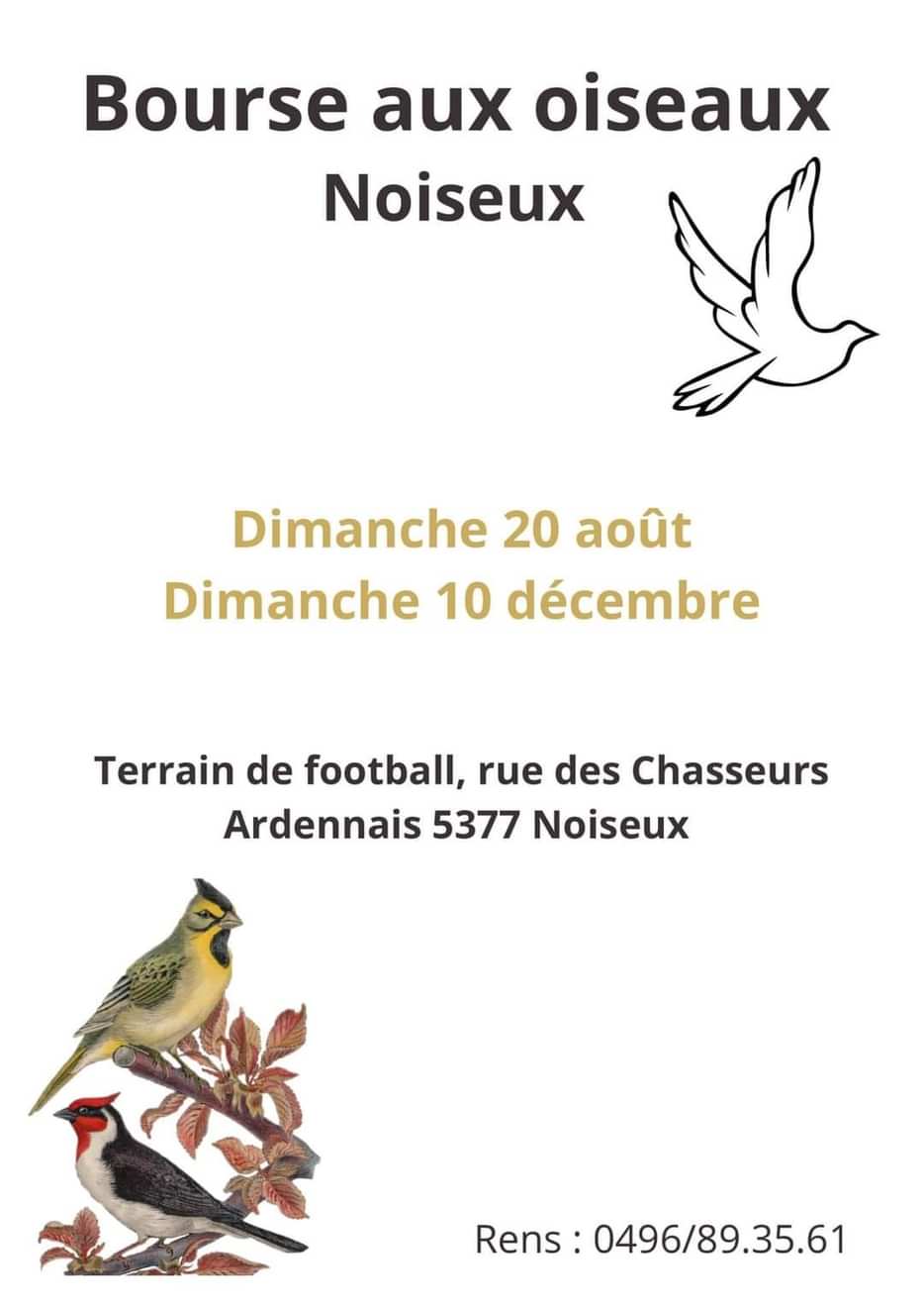 Noiseux (Belgique) - (Bourse aux oiseaux) Img_2_90