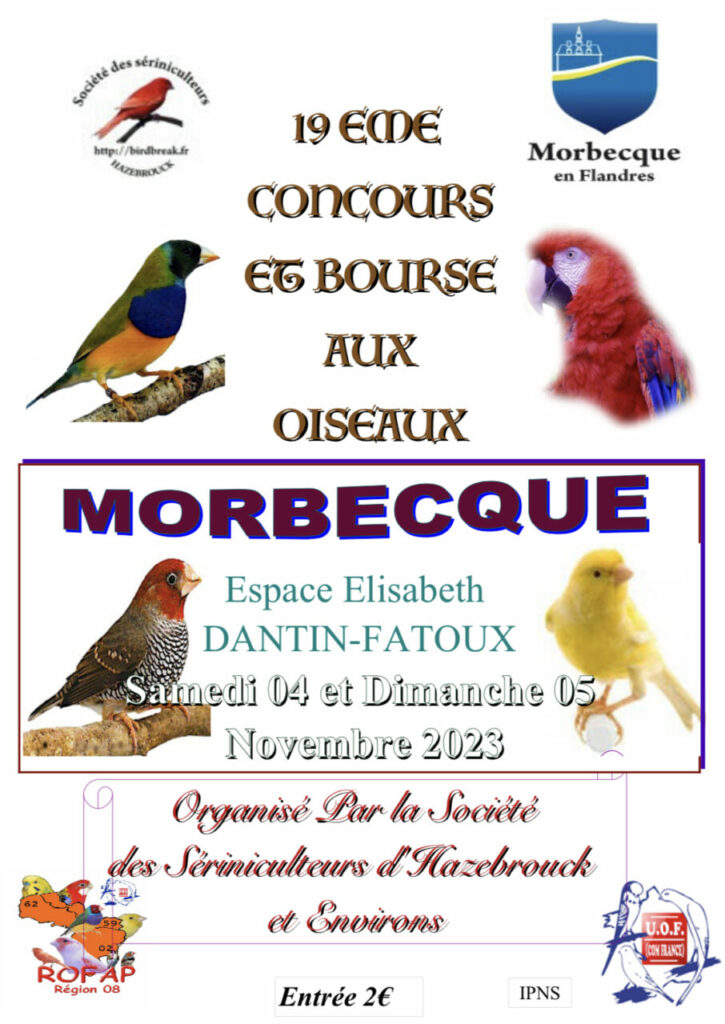 Morbecque (59) - (Concours et bourse aux oiseaux) Img_5511