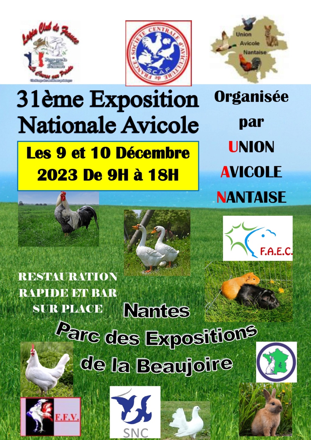 Nantes (44) - (Expo avicole) Nantes10