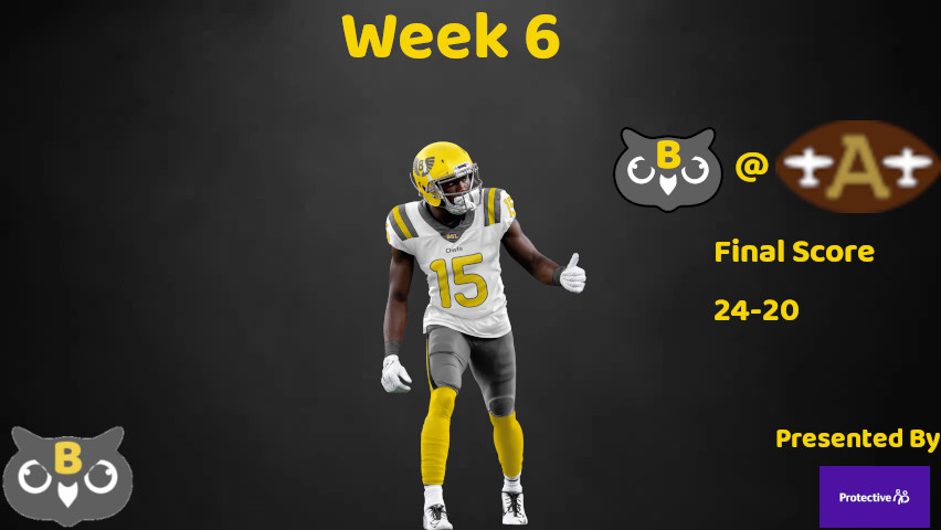 Birmingham Owl Social Media Week_611