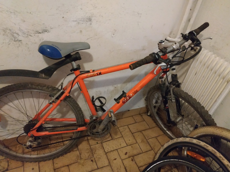 TopBike 550 SX