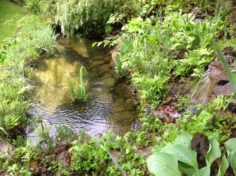 quelques photos des habitants du bassin Jardin11