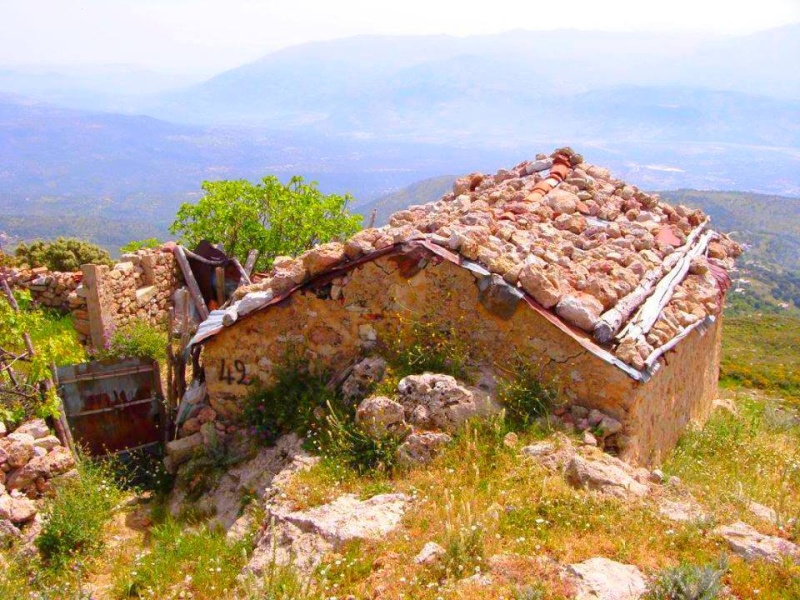 Lounes Matoub assassiné le 25/06/1998 en Kabylie 1027