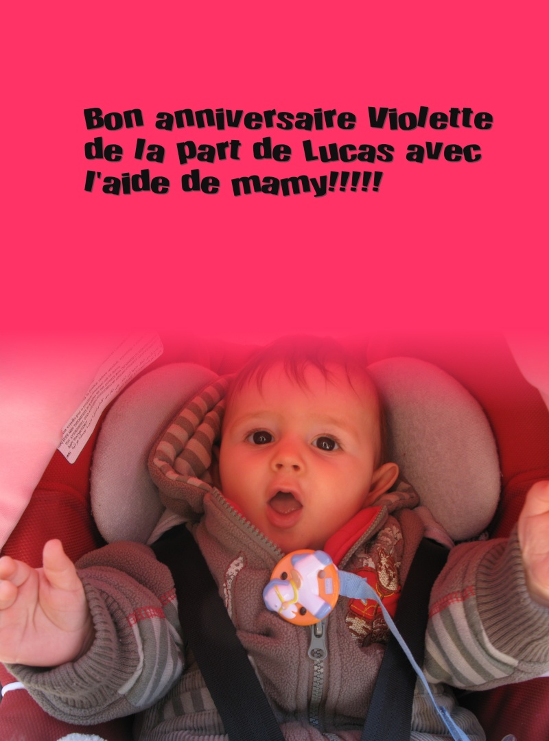 Bon Anniversaire Violette Lucas11