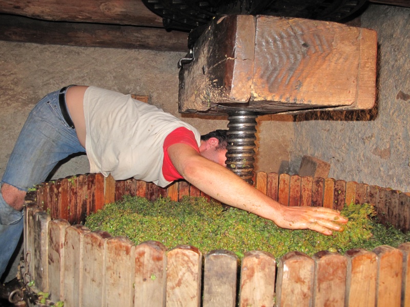 Vendanges en Haute Savoie Vendan21