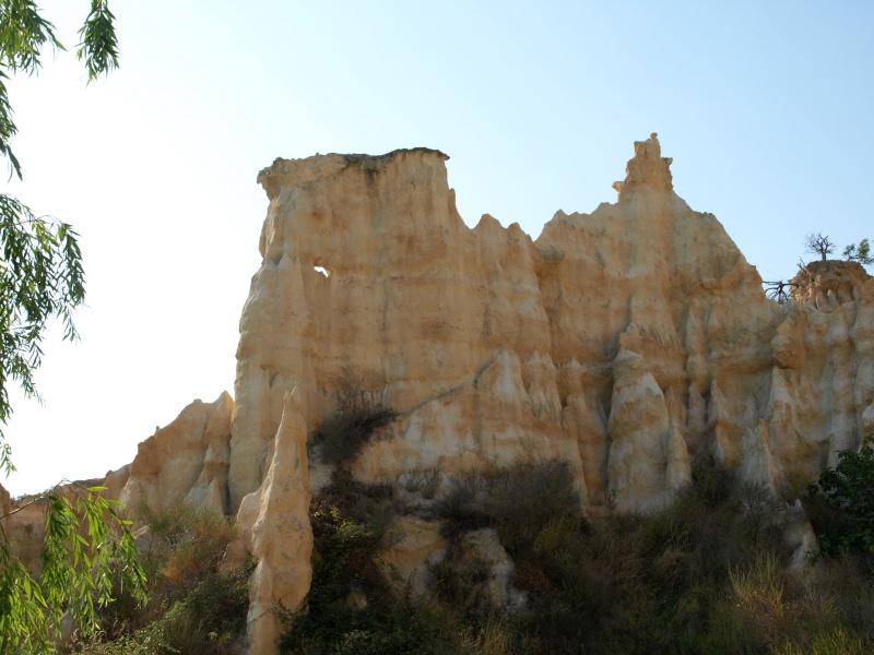 orgues ille sur tet P7280310