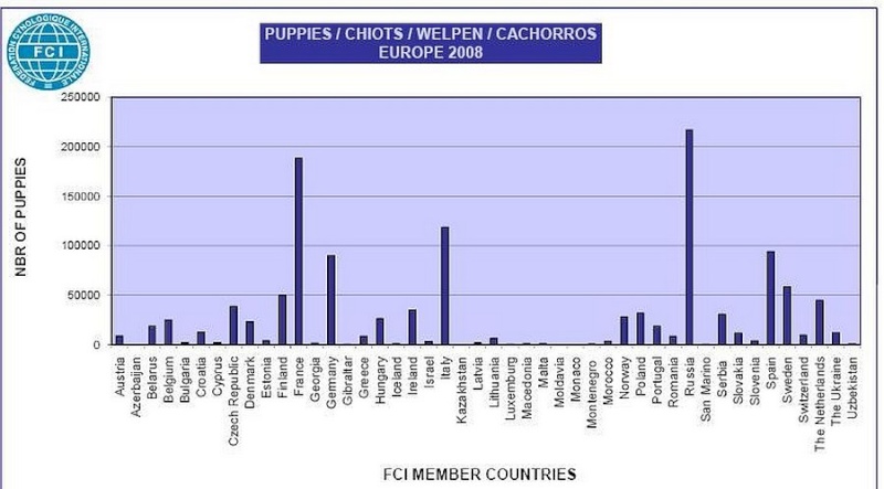 Statistiques  FCI Sans_t50