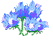 Fleuri Fleuri