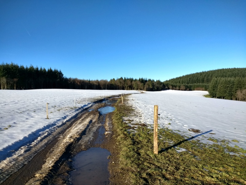 Semaine du 13 au 19 décembre 2021 Img_2019