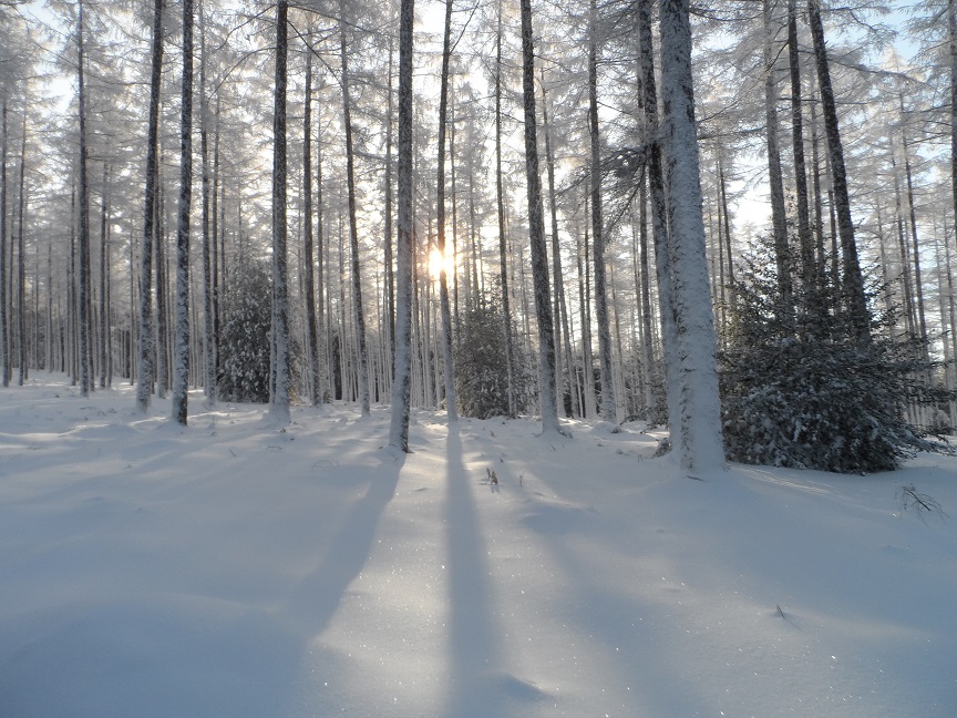 Semaine du 4 au 10 février 2019 Sam_1412