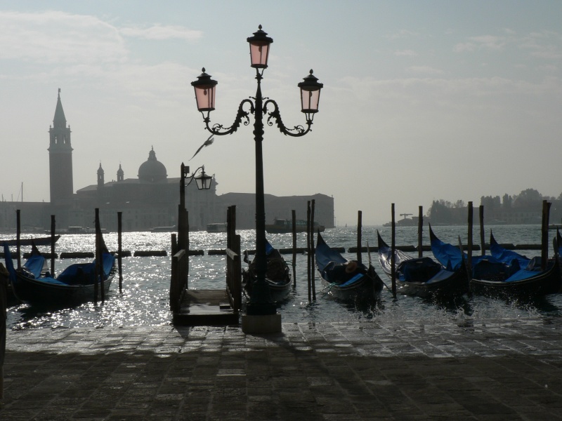 Place et Basilique Saint-Marc, Venise -Italie P1020311