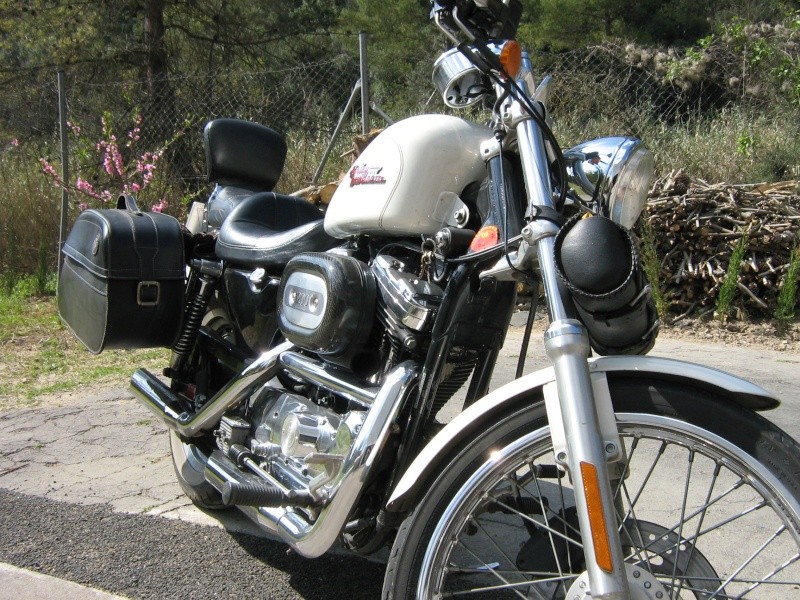 Vendo sportster XL 1200 Custom. 2002 Img_1814