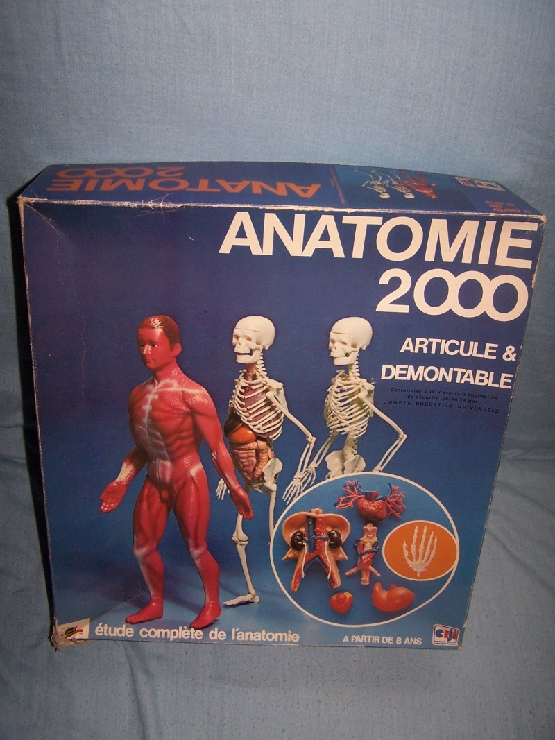 ANATOMIE 2000 : le corps humain selon CEJI  100_4925