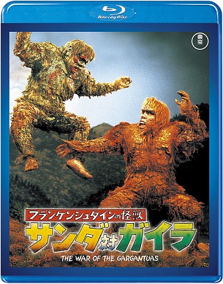Godzilla en HD Cover_20
