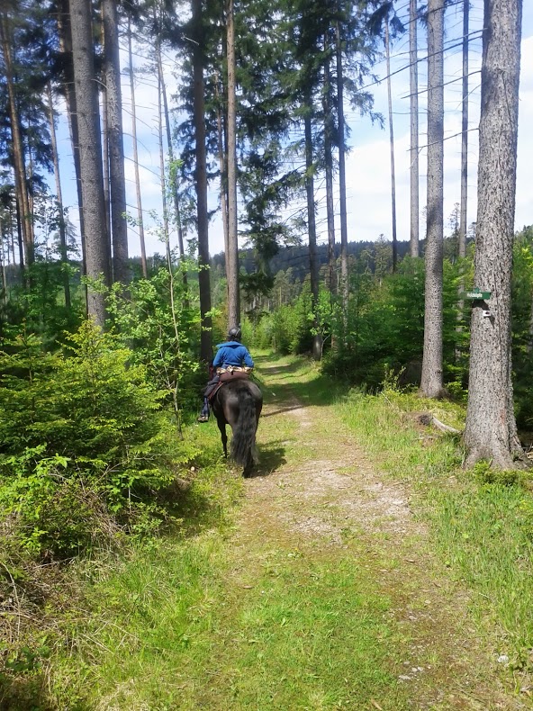 3ème Rando Manzanille et Philo: 5 jours en Forêt Noire Img_2015