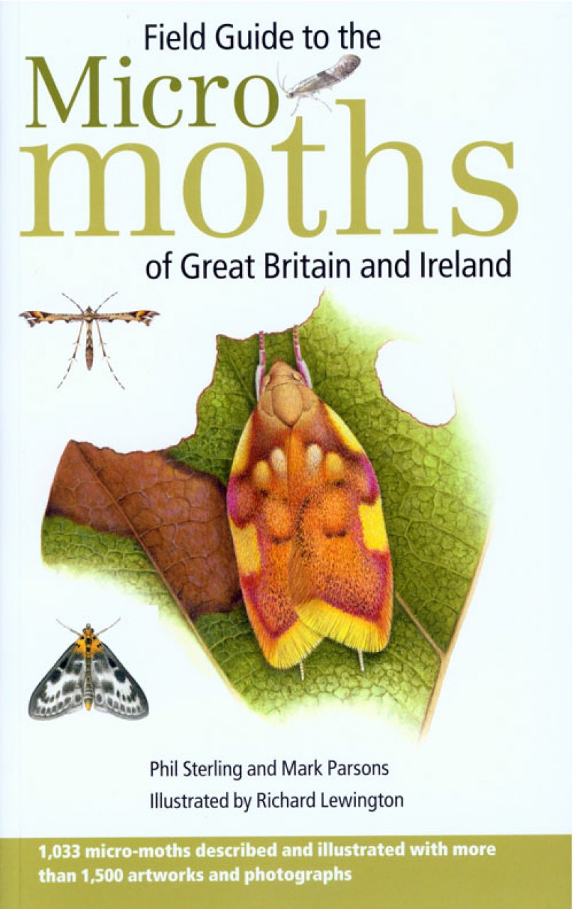 Field Guide to the Micro-Moths of Great Britain and Ireland Microm11