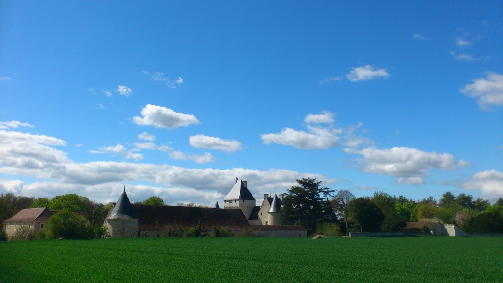 Tours et ses environs Dsc_1437