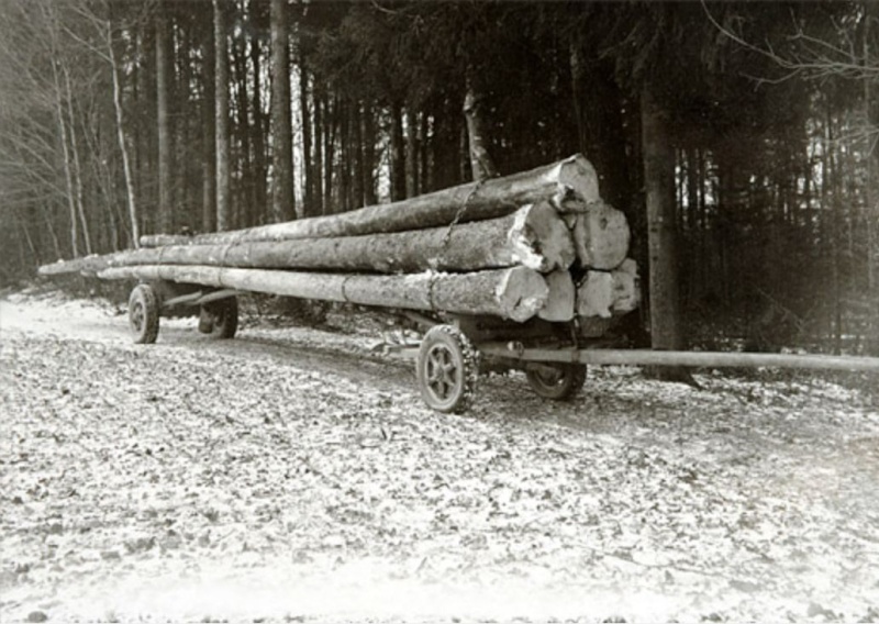 TRONCONNEUSES et travail en forêt....en photos d'époque - Page 4 70210