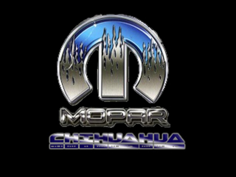 Club Mopar Chihuahua