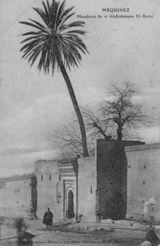 Meknès, la Ville Ancienne et les 2 Mellahs - 3 - Page 17 165_0010