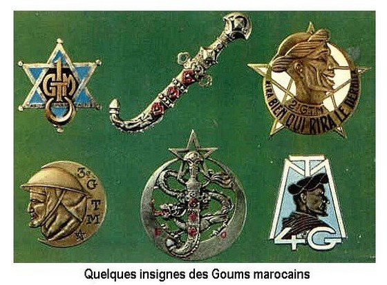 Insignes,Médailles,Attributs, Affiches - TERRE - Page 20 Insign71