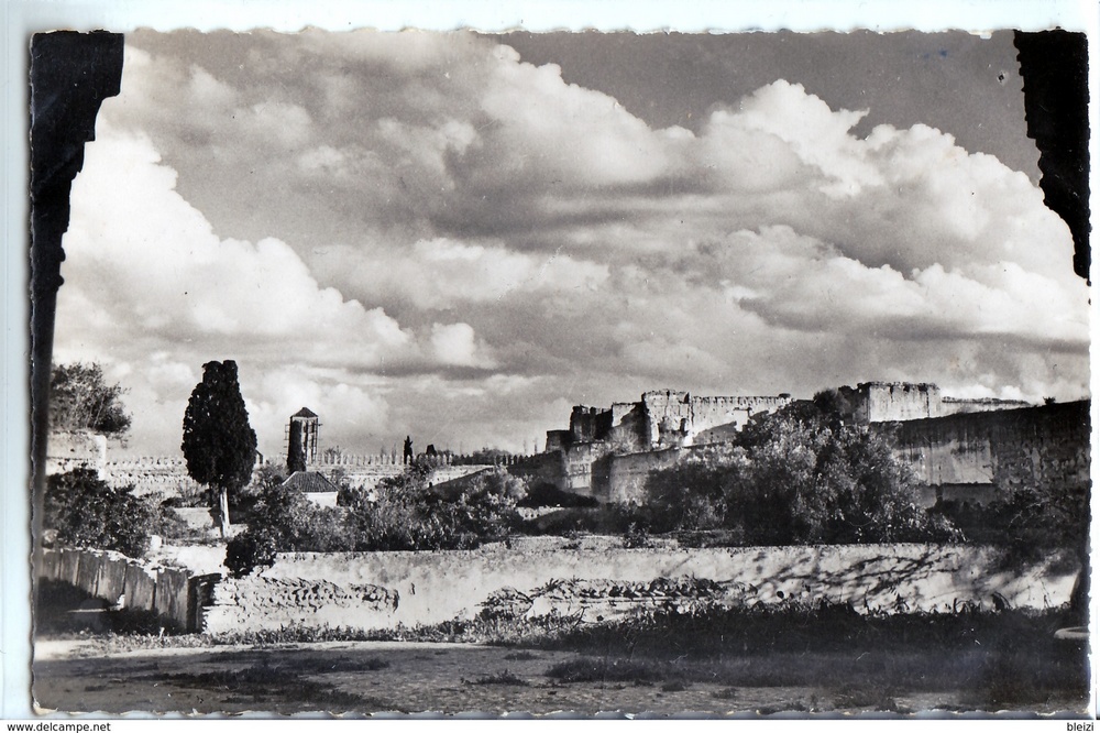 Meknès, la Ville Ancienne et les 2 Mellahs - 3 - Page 6 Meknzo26
