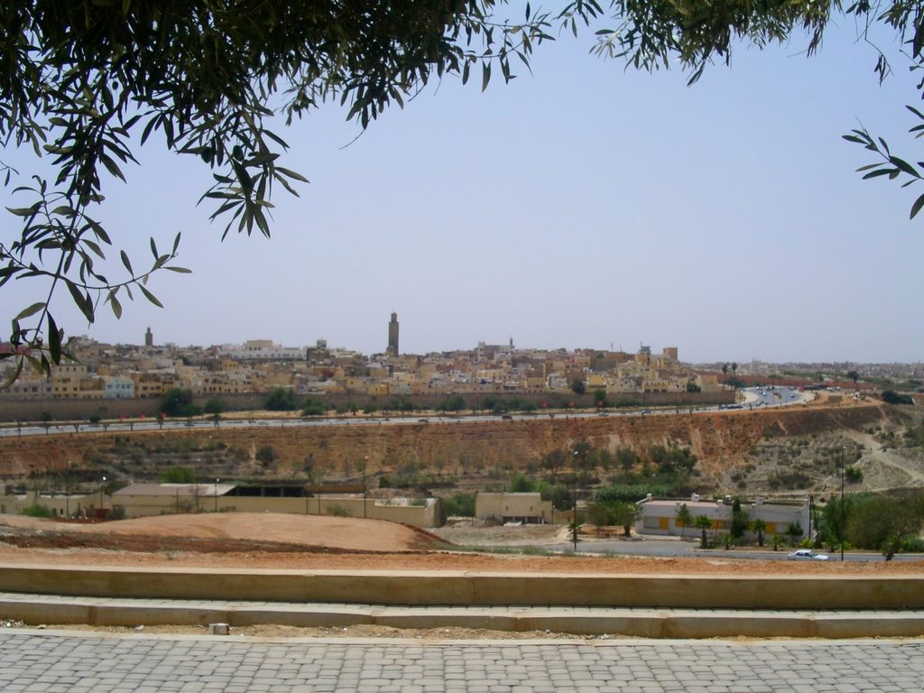 Meknès, la Ville Ancienne et les 2 Mellahs - 3 - Page 5 Voir_s10