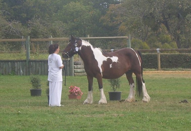 ITI haras du Pin ( 61 ) 19/09/09 engagements clos - Page 5 410