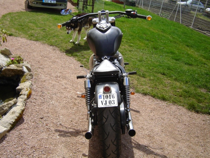 dutch bobber Photo_12