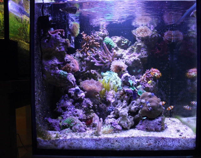 Projet cube 125 Litres (Piquesegue) - Page 4 2-img_10