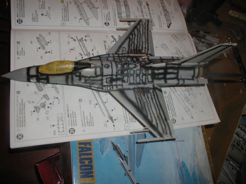 F16C Fighting Falcon [TAMIYA] 1/48 - Page 3 P1010022