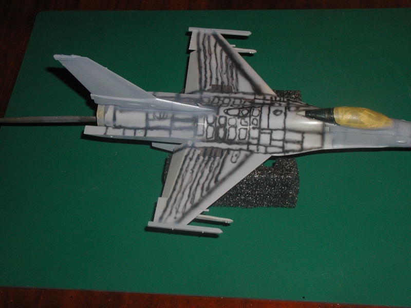 F16C Fighting Falcon [TAMIYA] 1/48 - Page 3 P1010024